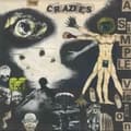 Miniatyrbillede 1 af 2: CRAZIES - A SIMPLE VISION (LP)