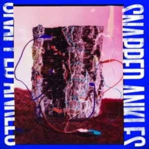 Snapped Ankles - Forest Of Your Problems (The Busine (LP)