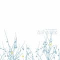 Miniatyrbillede 1 af 2: The Shins - Oh Inverted World (LP)