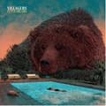 Miniatyrbillede 1 af 2: Villagers - Fever Dreams (LP)