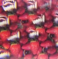 Oh Sees - Floating Coffin (LP)