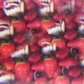 Miniatyrbilde 1 av 2: Oh Sees - Floating Coffin (LP)