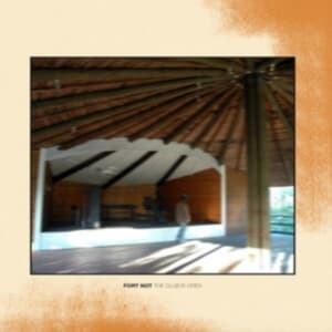 Fort Not - The Club Is Open (LP)