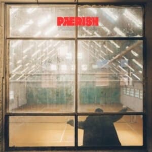 Paerish - Fixed It All (LP)