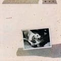 Miniatyrbild 1 av 2: Fleetwood Mac - Tusk (Vinyl) (LP)