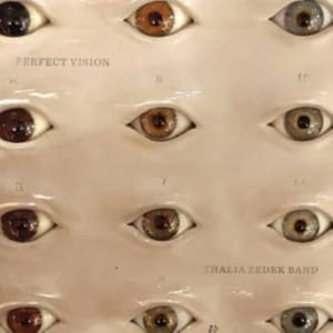 Thalia Zedek Band - Perfect Vision (Crystal Clear Vinyl (LP)