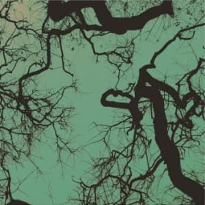 Föllakzoid - Föllakzoid (LP)