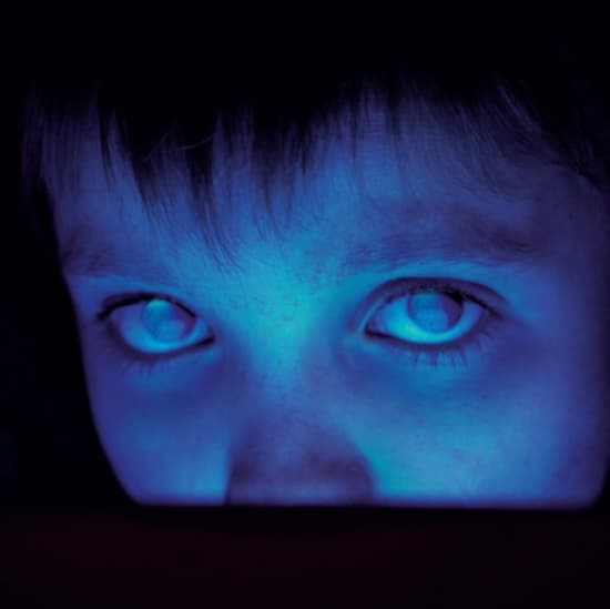Porcupine Tree - Fear Of A Blank Planet (LP)