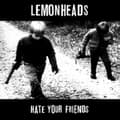 Miniatyrbilde 1 av 2: Lemonheads - Hate Your Friends (LP)
