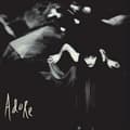 Pikkukuva 1 / 2: Smashing Pumpkins - Adore (2LP) (LP)