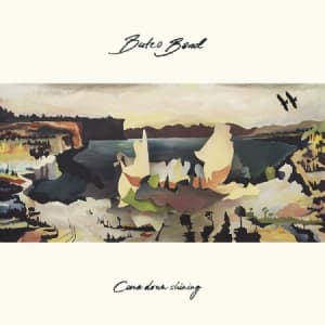 Buteo Band - Came Down Shining (LP)