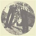Miniatyrbilde 1 av 2: Segall Ty & White Fence - Hair (LP)