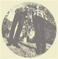 Segall Ty & White Fence - Hair (LP)