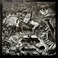 Miniatyrbild 2 av 2: Kollwitz - Like Iron I Rust (Vinyl Lp) (LP)