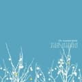Miniatyrbillede 1 af 2: The Shins - Oh, Inverted World (LP)
