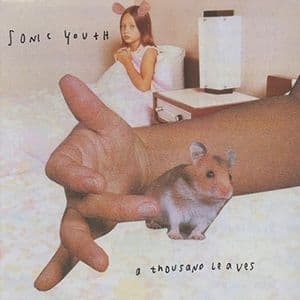 Sonic Youth - Thousand Leaves (2Lp) (LP)
