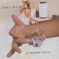 Miniatyrbillede 1 af 2: Sonic Youth - Thousand Leaves (2Lp) (LP)
