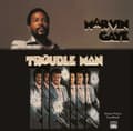 Pikkukuva 1 / 2: Marvin Gaye - Trouble Man (Vinyl) (LP)