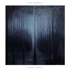 Beshevli Ilya - Night Forest (LP)