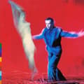 Pikkukuva 1 / 2: Peter Gabriel - Us (2Lp) (LP)