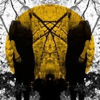 Austra - Feel It Break (LP)