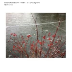 Norbert Rodenkirchen/Robbie Lee/Jam - Opalescence (LP)