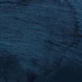 Miniatyrbillede 2 af 2: Multicast Dynamics - Aquatic System (LP)