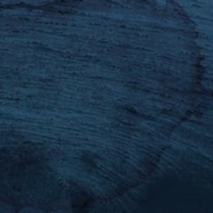 Multicast Dynamics - Aquatic System (LP)