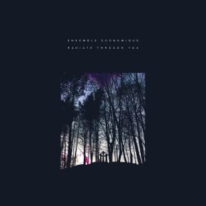 Ensemble Economique - Radiate Through You (LP)