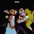 Pikkukuva 1 / 2: 5 SECONDS OF SUMMER - Calm - US Import (LP)