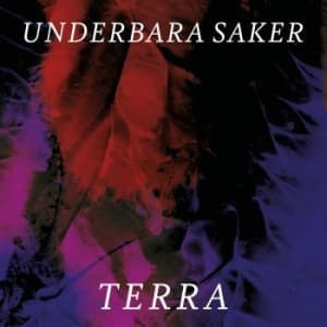 Terra - Underbara Saker (LP)