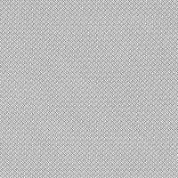 Olafur Arnalds & Nils Frahm - Loon (LP)