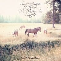 Callahan Bill - Sometimes I Wish We Were An Eagle (LP)