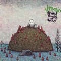Pikkukuva 1 / 2: J Mascis - Several Shades Of Why (LP)