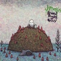 J Mascis - Several Shades Of Why (LP)