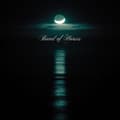 Pikkukuva 1 / 2: Band Of Horses - Cease To Begin (LP)