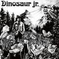 Pikkukuva 1 / 2: Dinosaur Jr. - Dinosaur Jr. (LP)