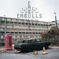 Miniatyrbillede 1 af 2: Eagulls - Eagulls (LP)