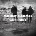 Miniatyrbillede 1 af 2: Mount Carmel - Get Pure (LP)