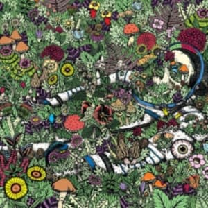 Oozing Wound - Whatever Forever (LP)