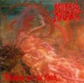 Pikkukuva 2 / 2: Morbid Angel - Blessed Are The Sick (Fdr Mastering (LP)