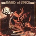 Miniatyrbilde 2 av 2: Band Of Spice - Shadows Remain (LP)