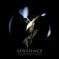 Pikkukuva 1 / 2: Klingwall Fredrik & Black Julia - Sentience - Lp Ltd Silver (LP)