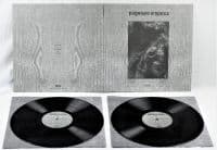 Paysage D'hiver - Steineiche (2 Lp Vinyl) (LP)