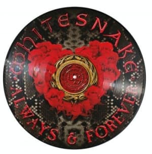 Whitesnake - Always & Forever (Ltd Ed Picture Di (Maxisingle)