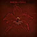 Pikkukuva 2 / 2: Machine Head - Burning Red (LP)