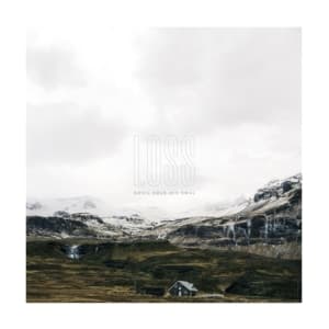 Devil Sold His Soul - Loss (LP)