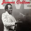 Miniatyrbilde 2 av 2: Cotton James - Live At Antone's Nightclub (LP)