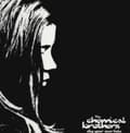 Pikkukuva 2 / 2: The Chemical Brothers - Dig Your Own Hole (2Lp) (LP)