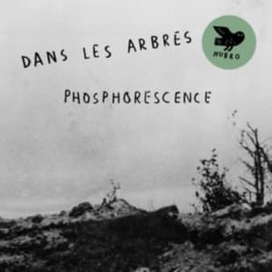 Dans Les Arbres - Phosphorensence (LP)